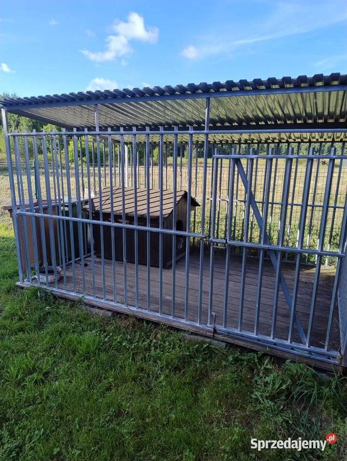Kojec psa 3x2 z budą i podłogą Pozostałe Wierzchucino