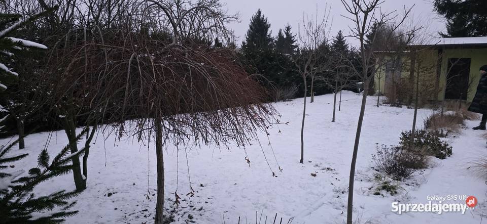 Działka rekreacyjna ROD Chełmno kujawsko-pomorskie