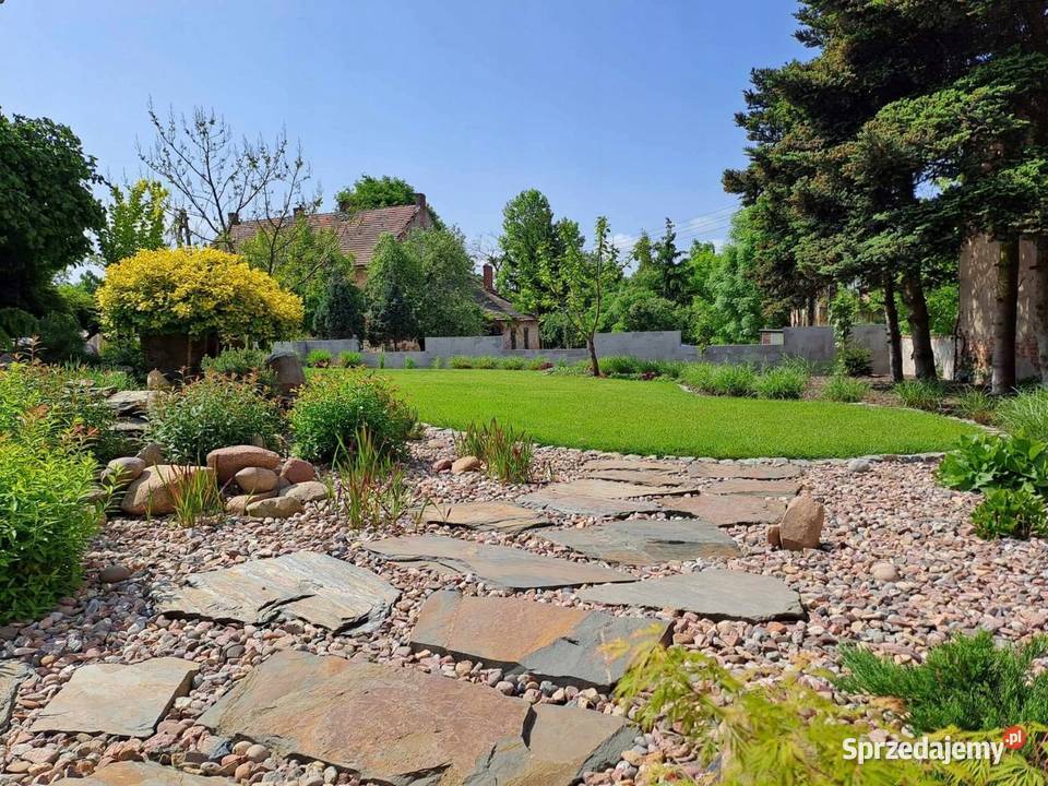 księżycowy łupek wielkopłytowy Księżyce