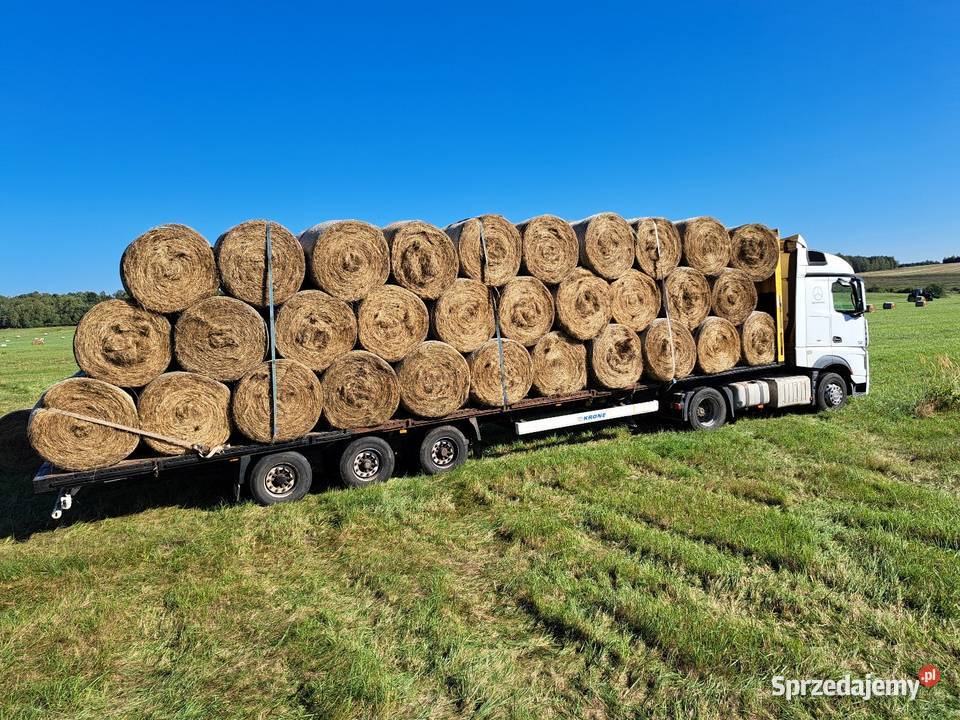 Baloty siana koni z transportem siano zwierząt z śląskie Będzin