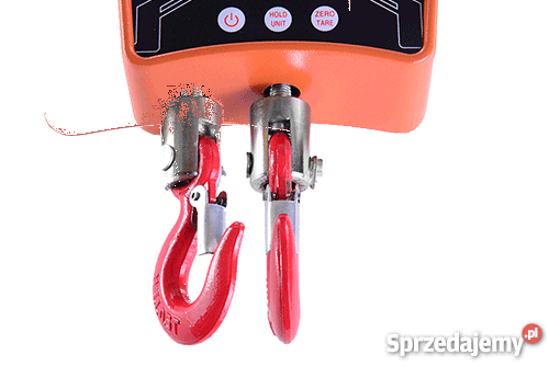 WAGA Hakowa 300 100g podwieszana dżwigowa Poczesna