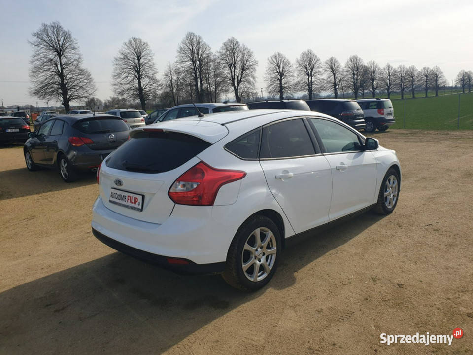 Ford Focus 16 86 Klimatronik Elektryka Zadbany dolnośląskie Strzegom sprzedam
