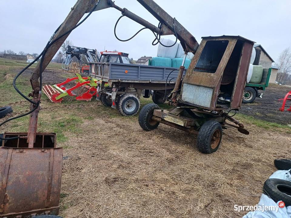 Cyklop polski sprzedam