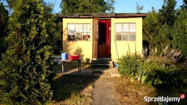 Dzialka ROD Hutnik rekreacyjna Częstochowa sprzedam