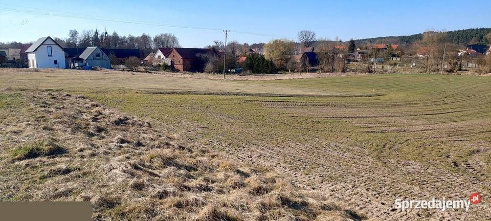 Działka budowlana 6447 m na wsi z dojazdem lubuskie Jordanowo