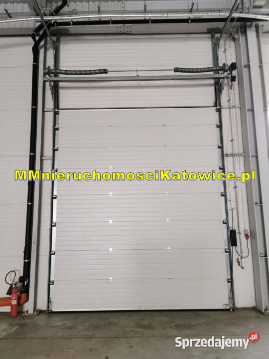 Hala magazyn do wynajęcia śląskie Katowice plac