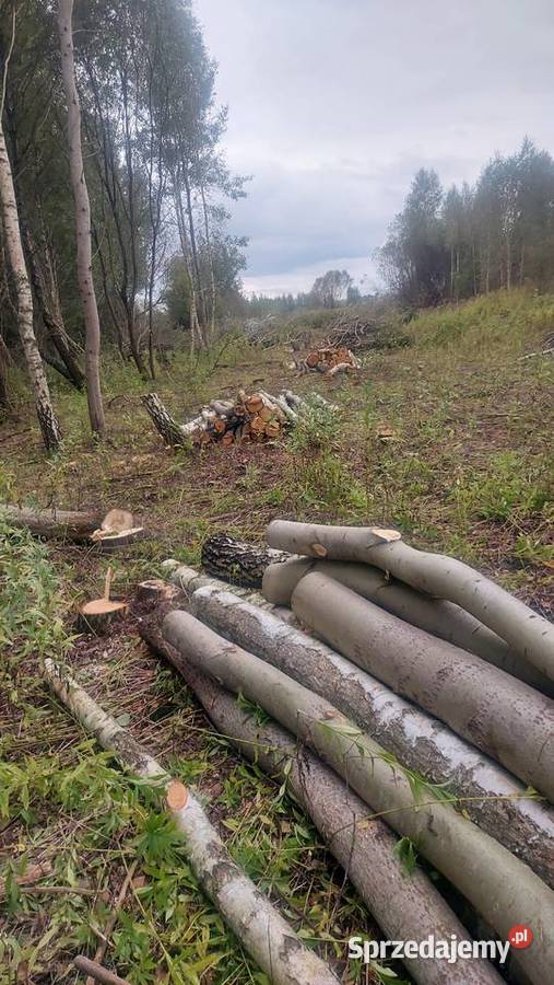 Drewno opałowe kominkowe z transportem Radom