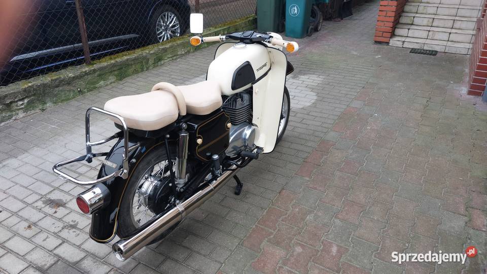 Mz trophy kujawsko-pomorskie Rypin sprzedam