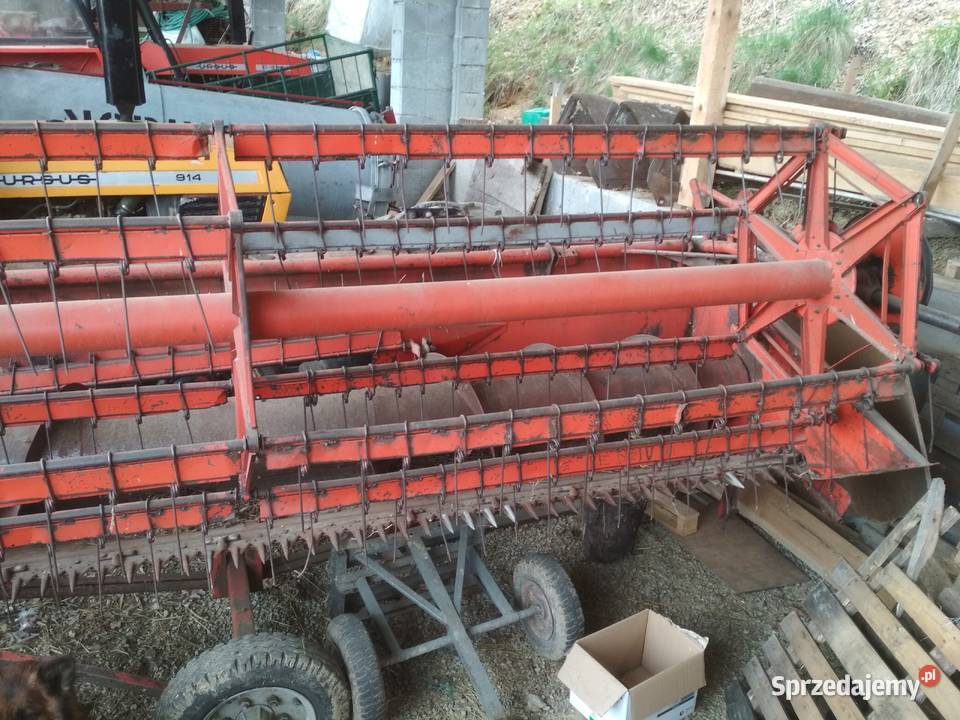 Heder do Bizona Dąbrówka