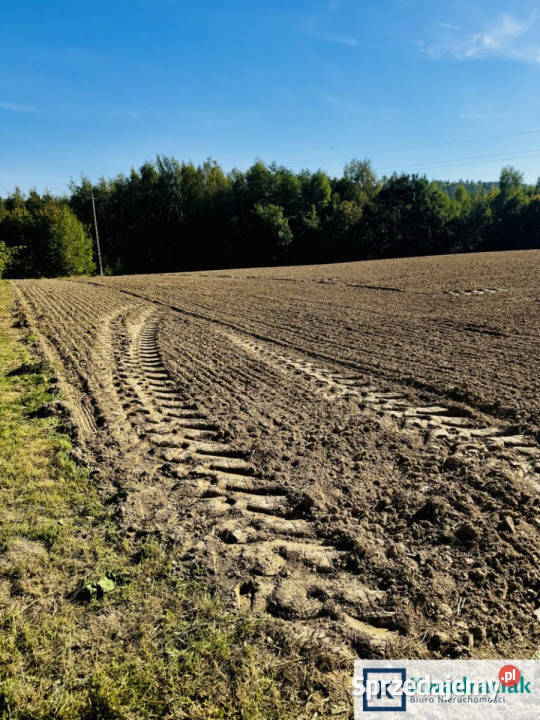 Działka 3000m2 Cierpisz 100m Sprzedaż