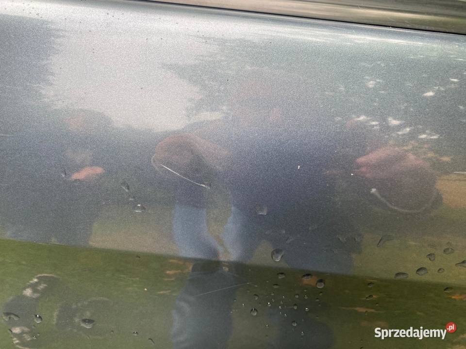 Sprzedam samochód osobowy citroen xsara picasso Brzeszcze