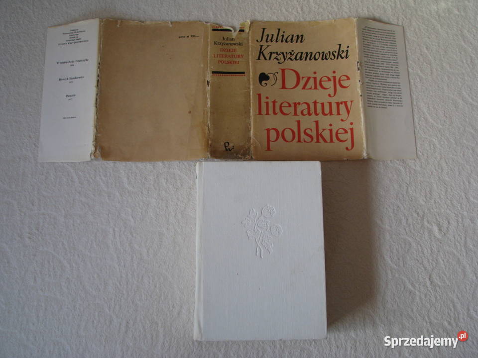 Dzieje Literatury polskiej Julian Krzyżanowski Brzegi