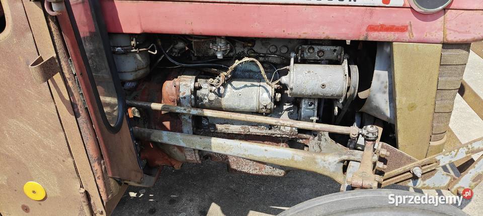 Massey Ferguson 135 Perkins 3p Kijany sprzedam