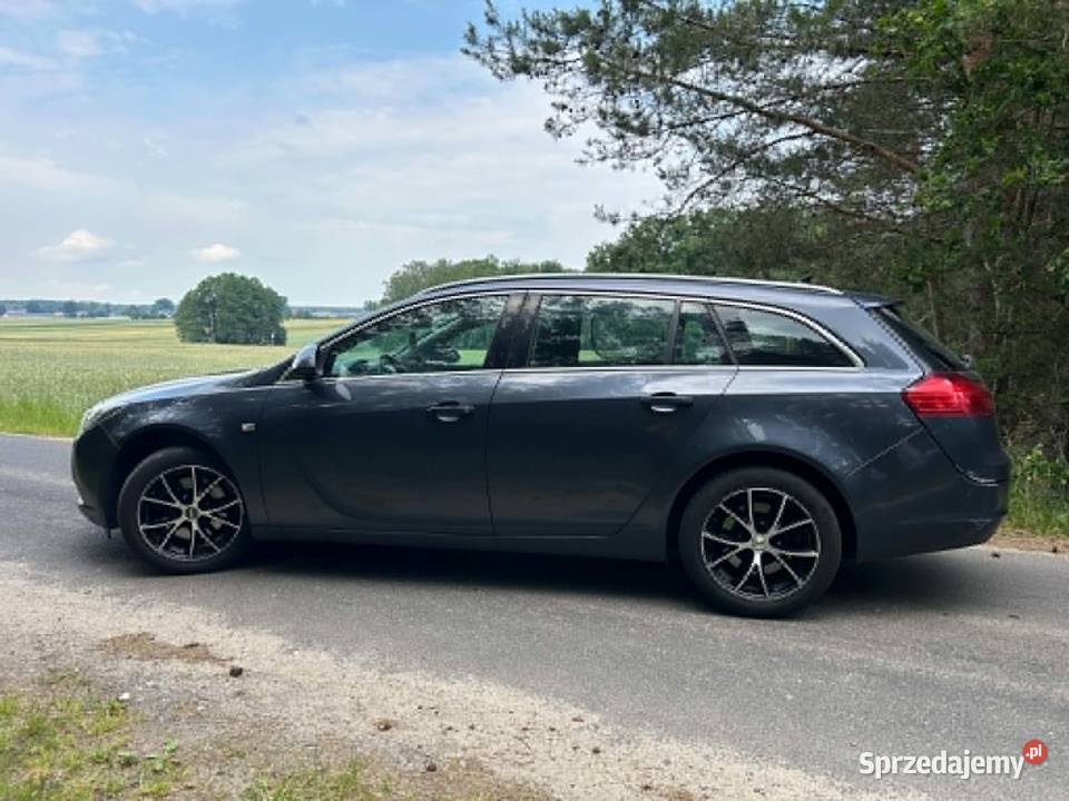Opel Insignia Górki Duże