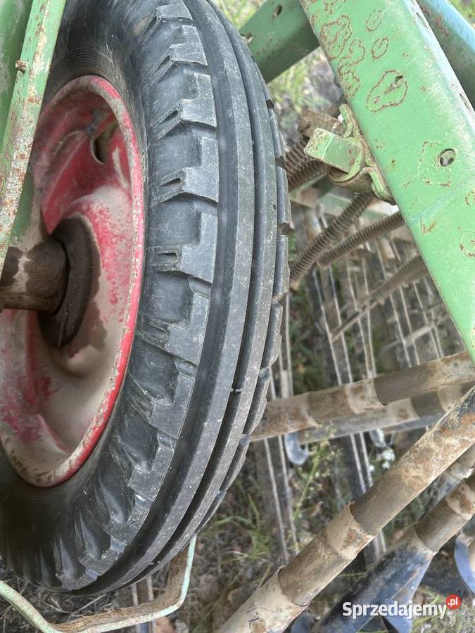 Siewnik Hasia Prusice