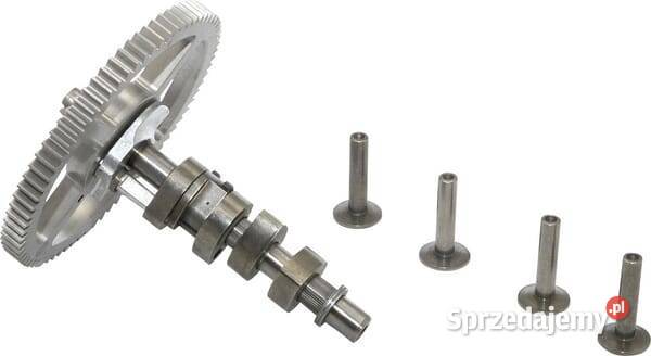 Wał krzywkowy 797242 Kamionna sprzedam