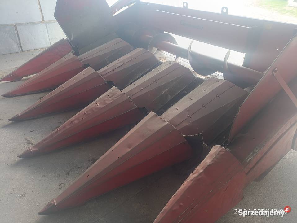 Piękna przystawka do kukurydzy PC5 geringhoff 5 Piła