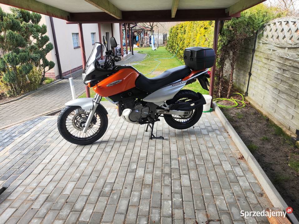 Suzuki XF650 Freewind kat a2 Suzuki Świnoujście