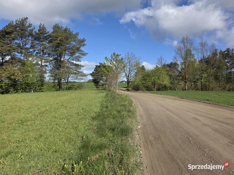 Syndyk sprzeda nieruchomość gruntową 13zł/m2 Donimierz sprzedam