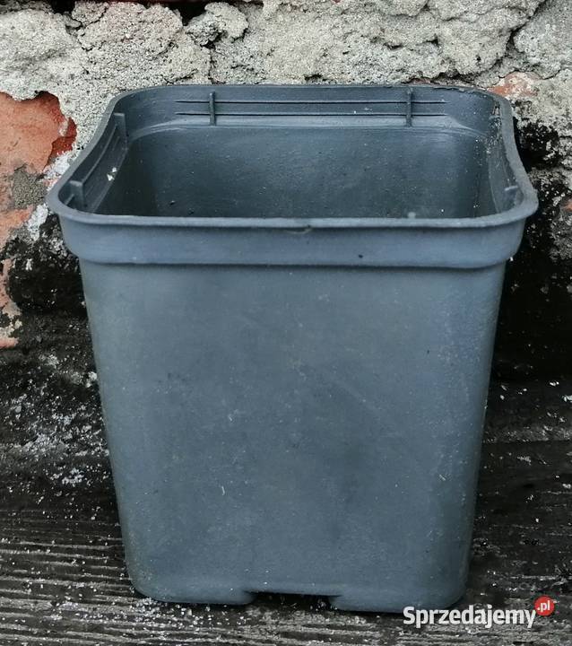 Doniczki P8 03L 8 Produkcyjne Twarde Dekoracje i ozdoby Siewierz
