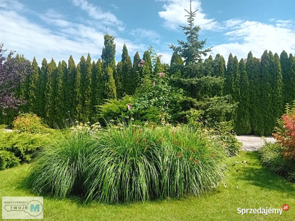 Dom BuskoZdrój 1548m2 Busko-Zdrój