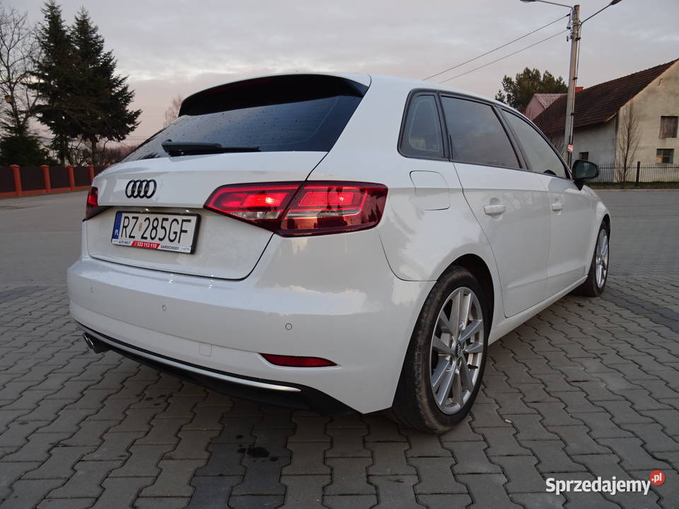 Audi A3 Serwisowany Zarejestrowany Navi Xenon 20 klimatyzacja Rzeszów