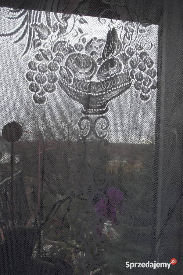 Mała firanka żakard papuga szer123 wys162 biały