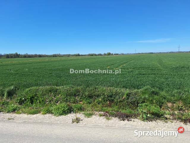 Grunt Borzęcin 7800m2 małopolskie