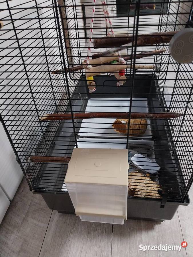 Duża klatka ptaków