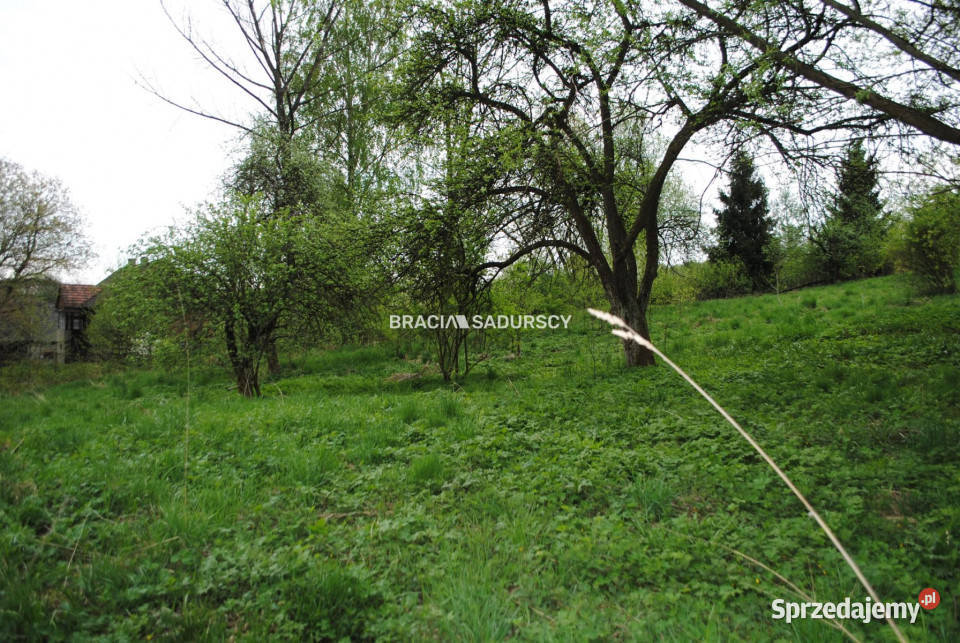 Sprzedaż gruntu 2340m2 Chobędza kanalizacja