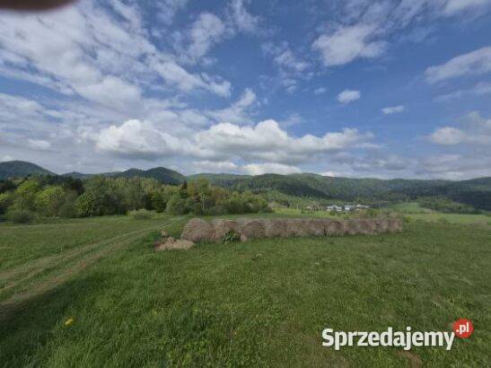 Dom na podkarpaciu Sprzedaż