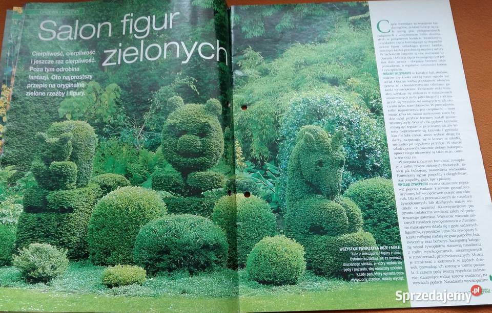 Mój piękny ogródPnącza zawsze górąCzasopismo Łódź