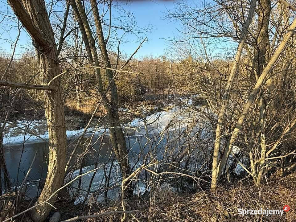 Oferuję działke rolną Bystrzycą w Jerzmanowie Wrocław