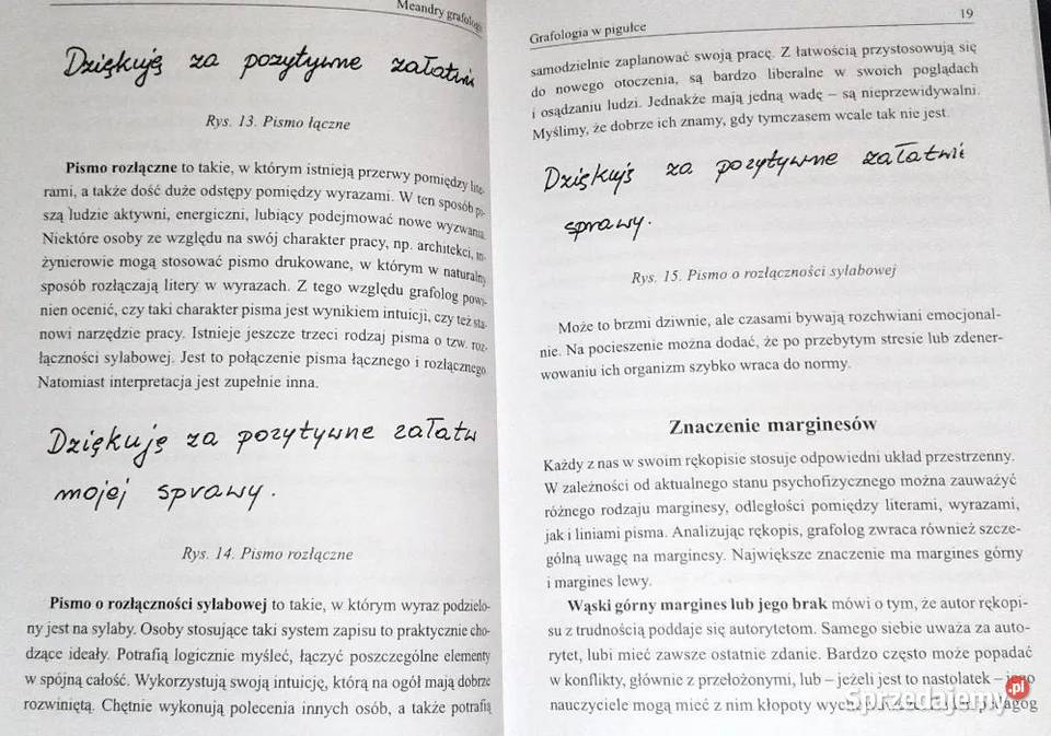 Meandry grafologii Izabela Kukiełka Pozostałe lubelskie Chełm sprzedam