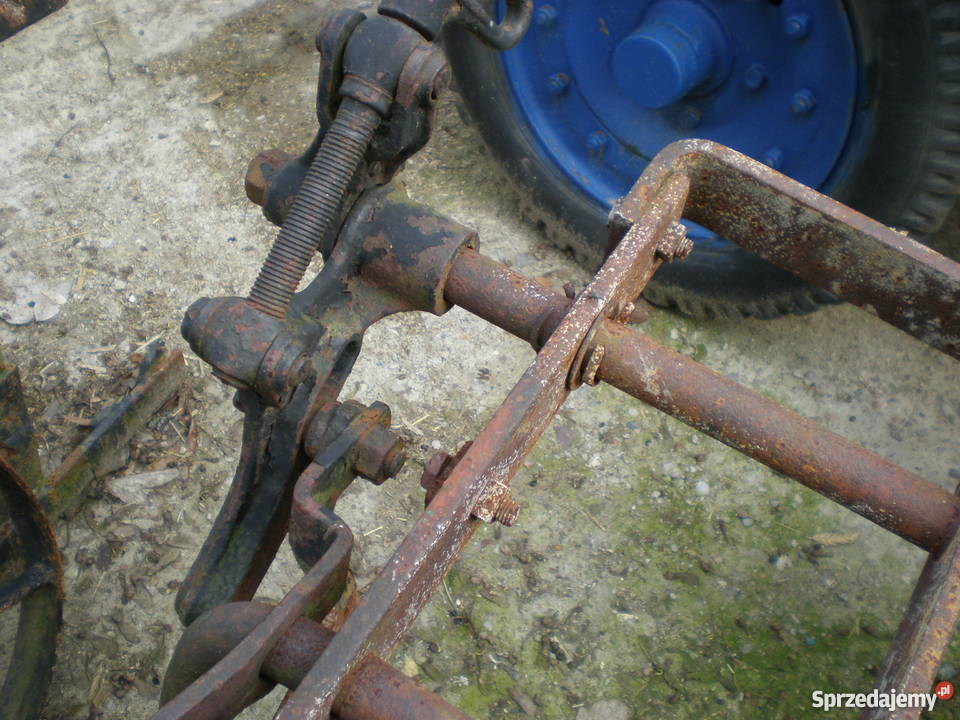 Pięknamodna ozdobadekoracja do ogrodupług Barlinek sprzedam