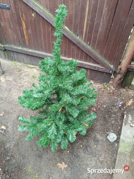 Choinka sztuczna żywa