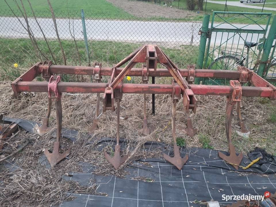 głębosz nieuszkodzony lubelskie Chłaniówek