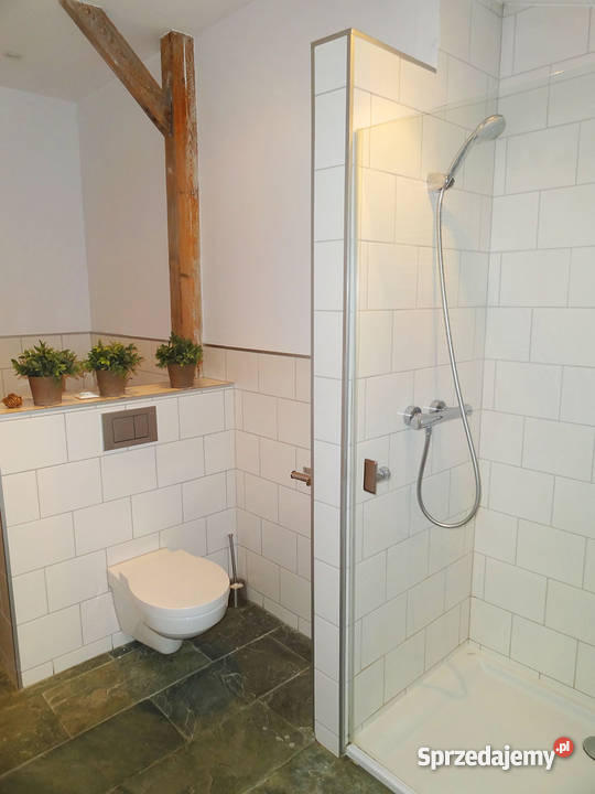 Mieszkanie Zielony Romanów Łódź