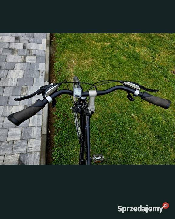 Rower meski Kross Trans Pacyfic