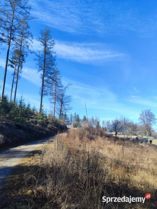 sprzedaży gruntu 1608m2 Sosnówka