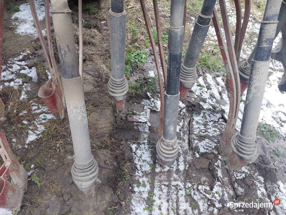 siewnik zbożowy Siewniki i sadzarki Ćmielów