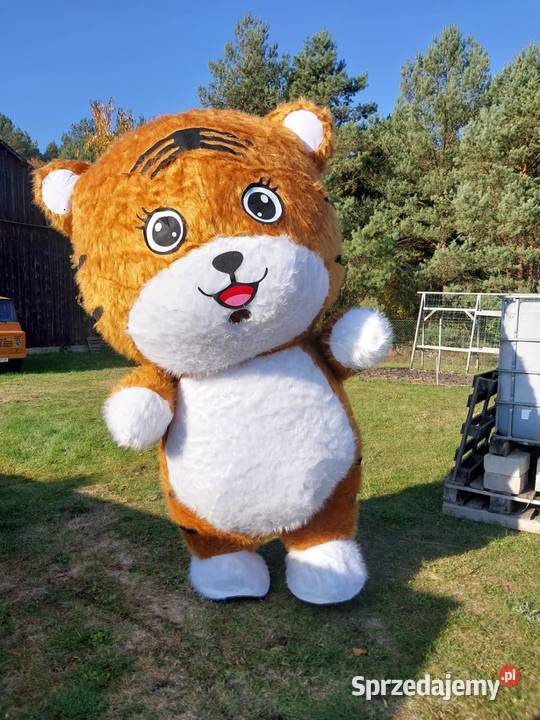 Duży kostium Gorzów Wielkopolski