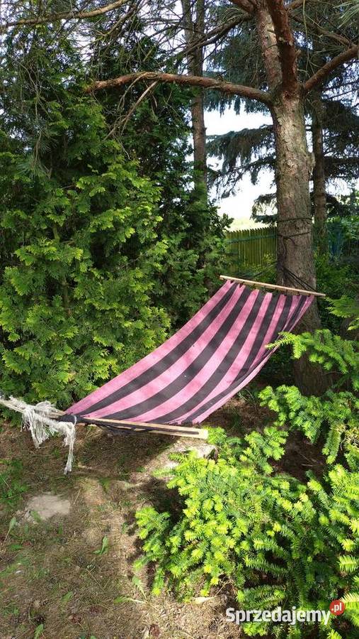 Piękna działka rekreacyjna jeziorem Głuszyńskim Sprzedaż Włocławek sprzedam