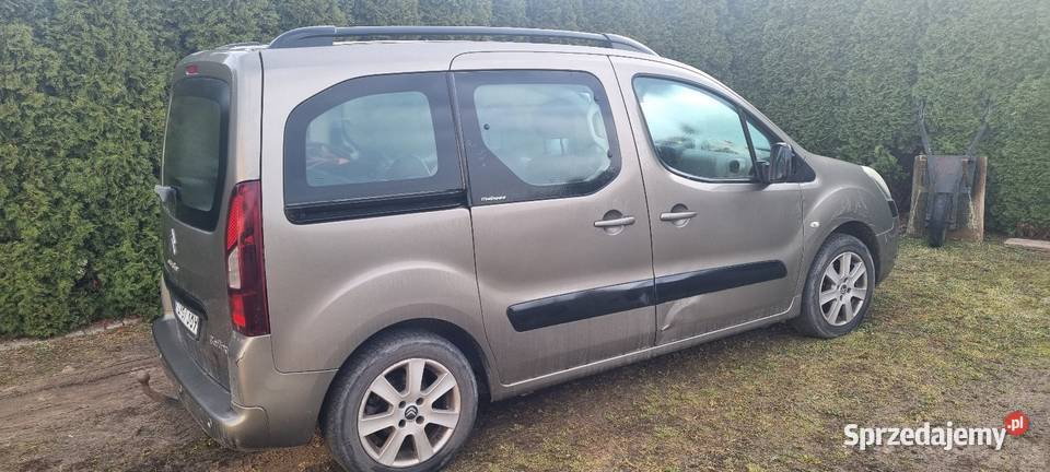 Citroen berlingo multispace klimatyzacja Rydzyna