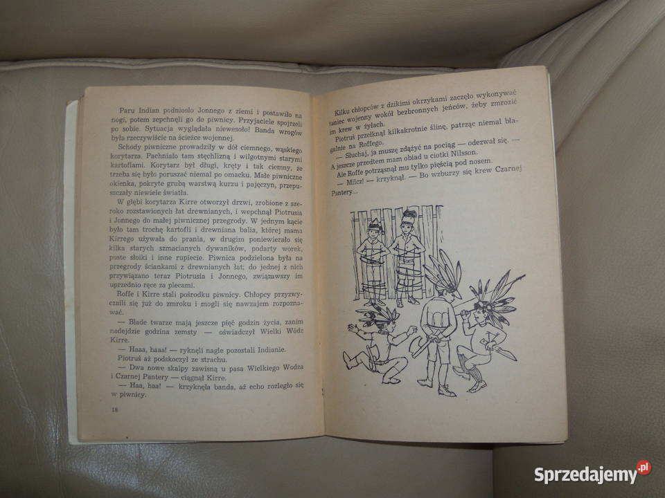 Piotruś na wsi Hans Peterson miękka