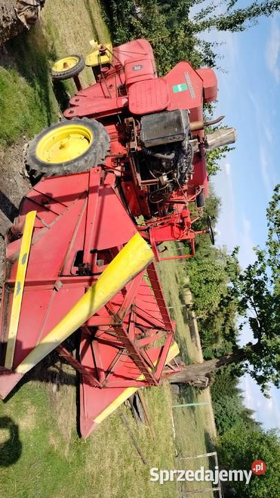 Massey Ferguson 30 podkarpackie Dębowiec