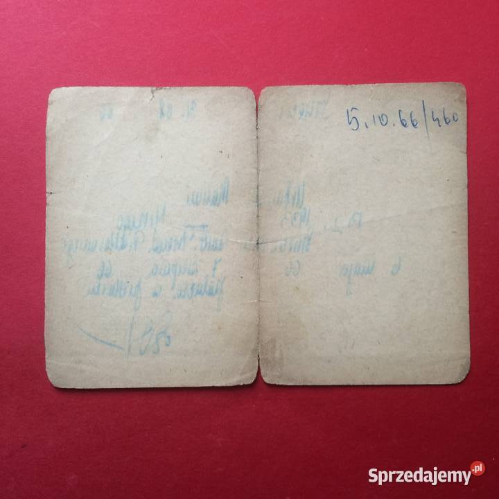 1315 Świadectwo Pracy Urbański Antykwariat Szczecin