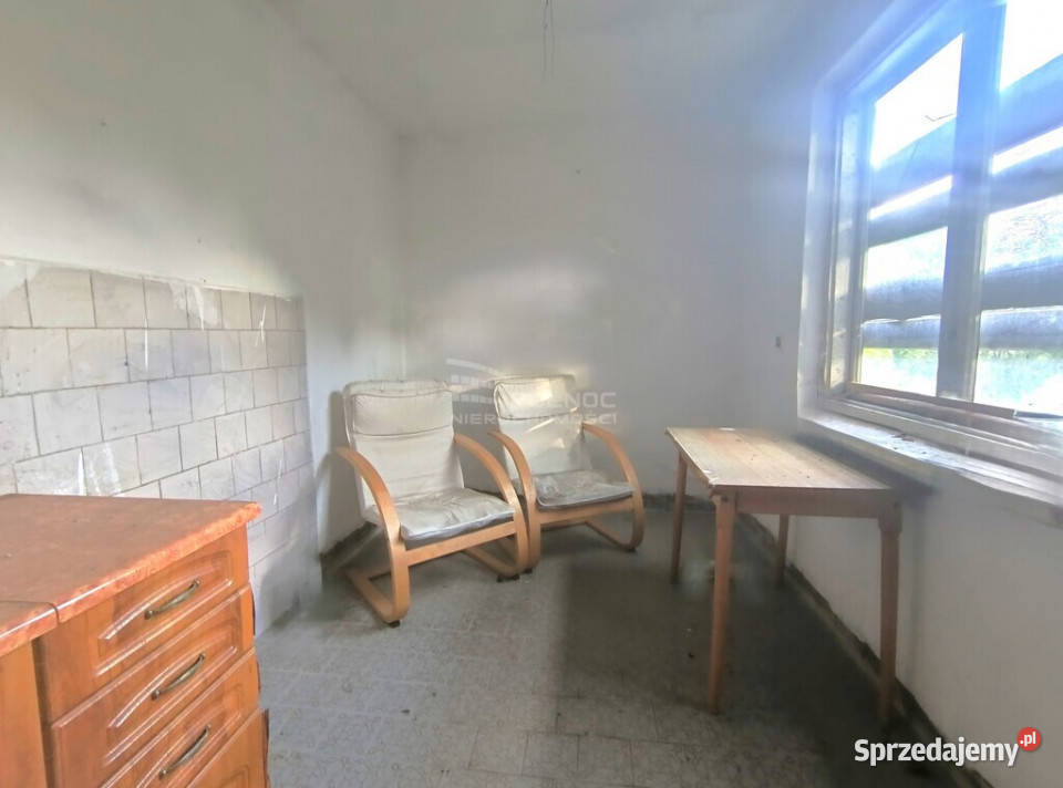Siedlisko lesie Oseredek gm Susiec
