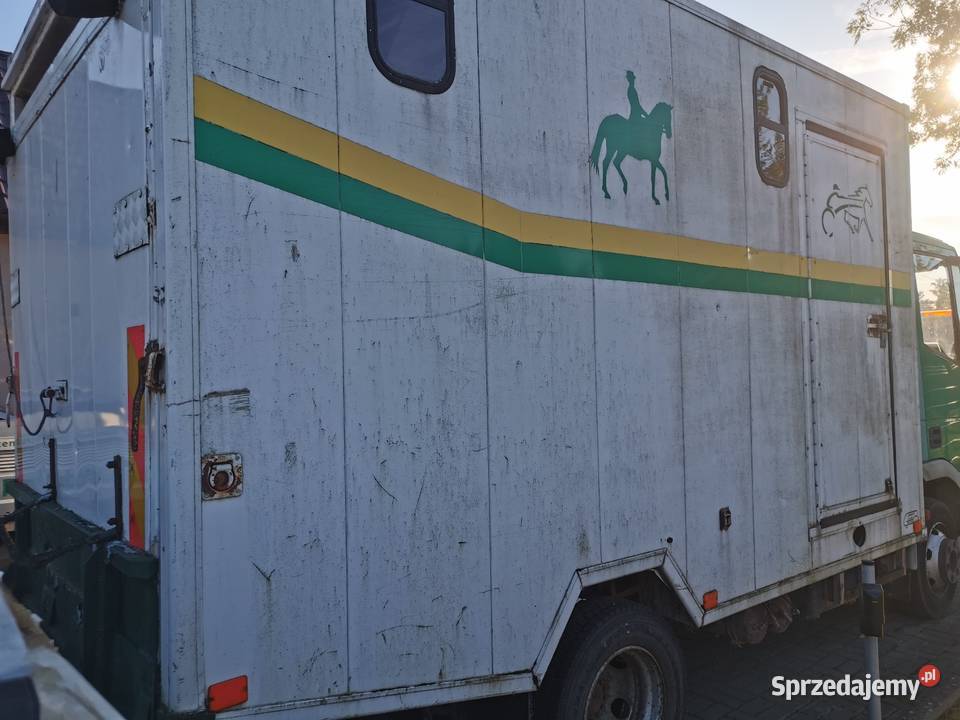 Iveco Euro cargo 75E17 koniowóz Rok produkcji 2002 Specjalne Motoryzacja zachodniopomorskie
