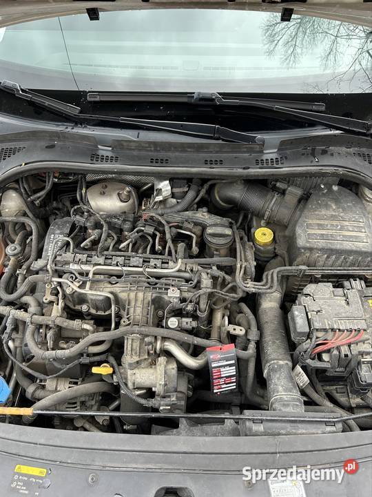 Skoda rapid Rzeszów